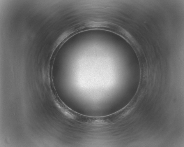X0000056010986200508221450