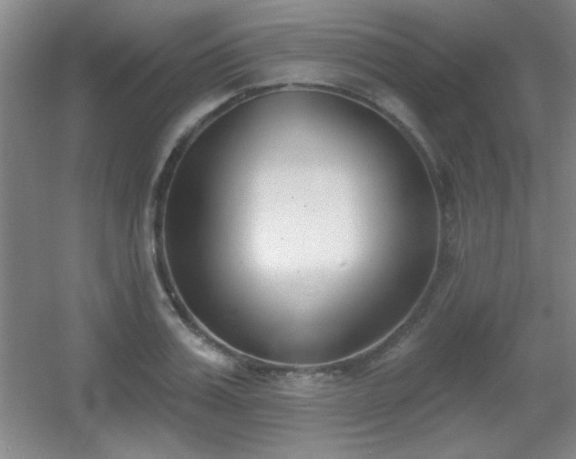 X0000056010987200508221450