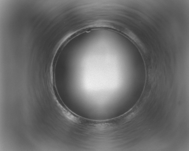 X0000056010988200508221450