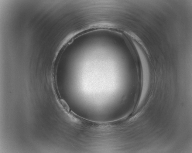 X0000056010989200508221450