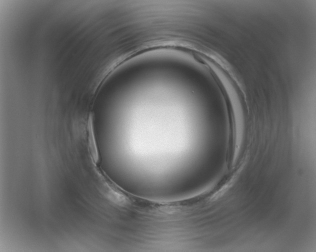 X0000056010993200508221450