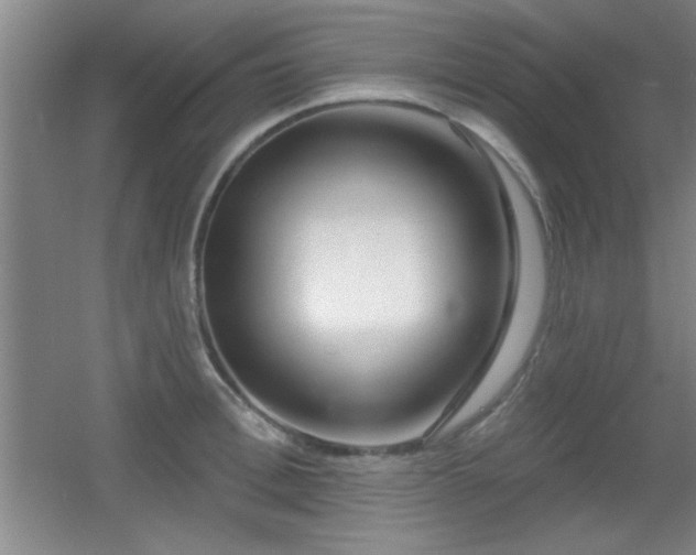 X0000056010996200508221450