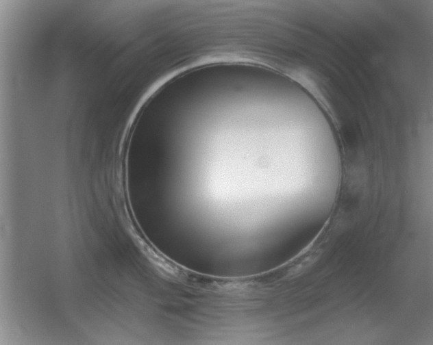 X0000056011004200508221449