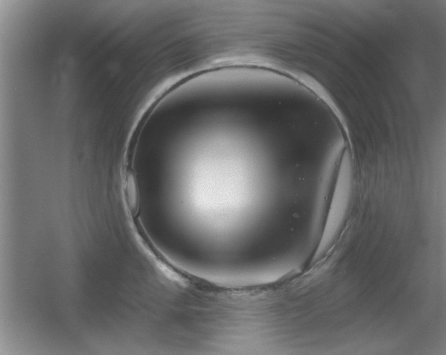 X0000056011005200508221449