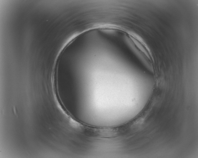 X0000056011007200508221449