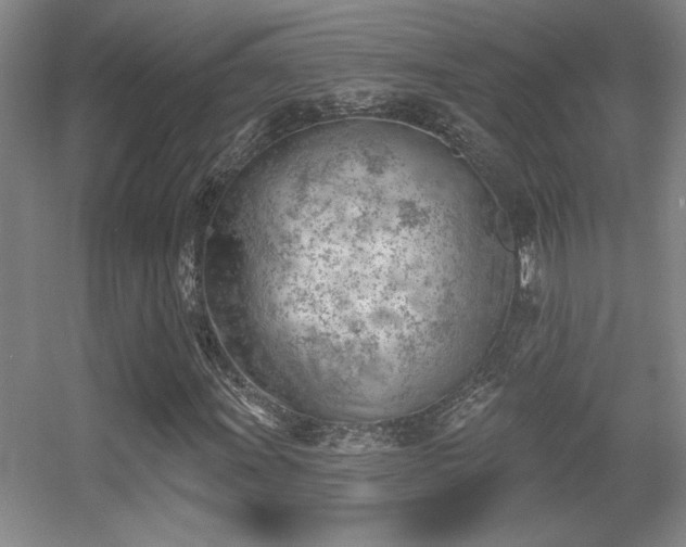 X0000056011011200508221449