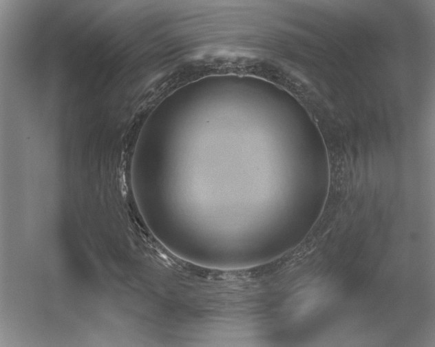 X0000056011013200508221449