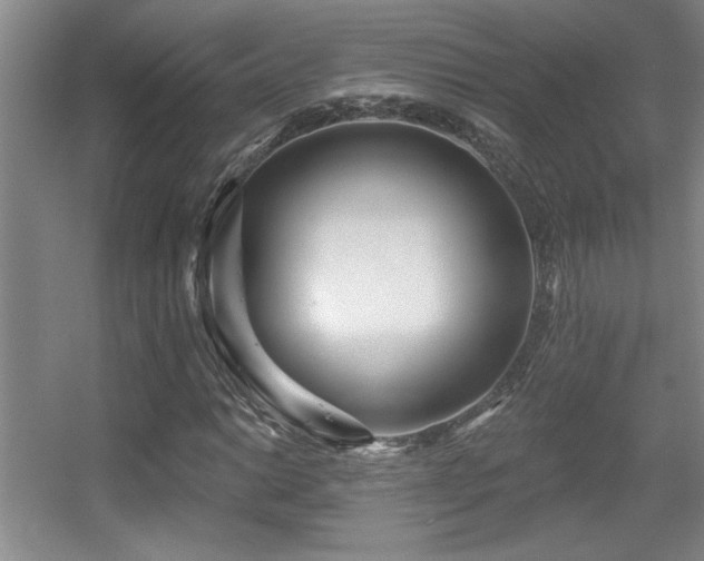X0000056011014200508221449