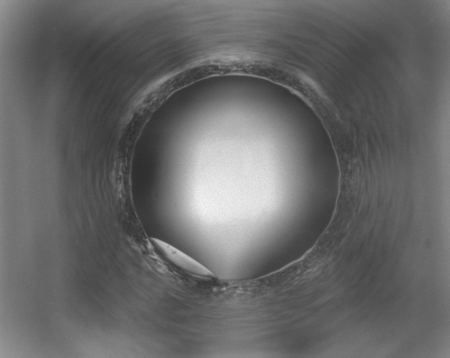 X0000056011016200508221449