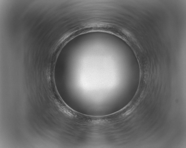 X0000056011017200508221449