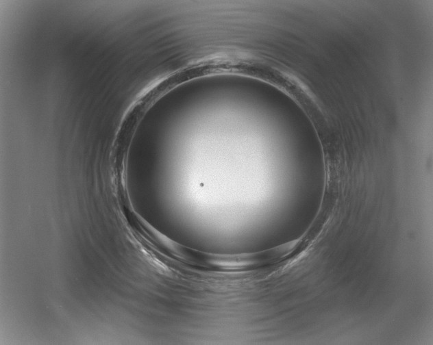 X0000056011018200508221449