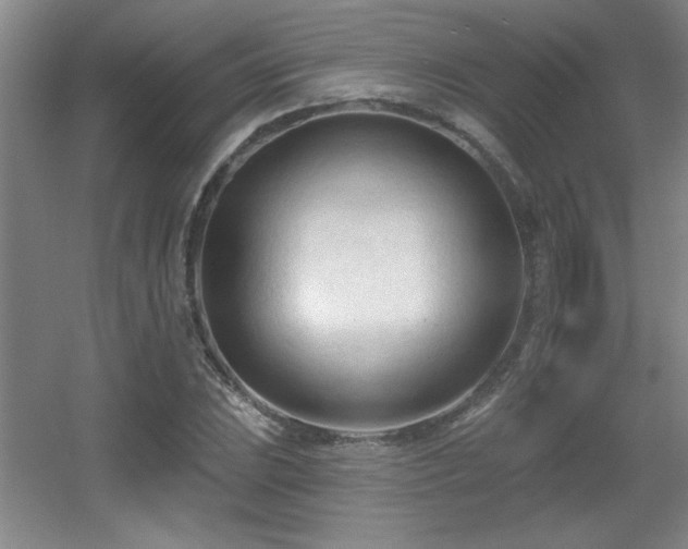 X0000056011023200508221449
