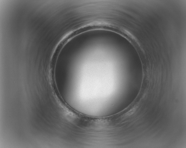 X0000056011029200508221449