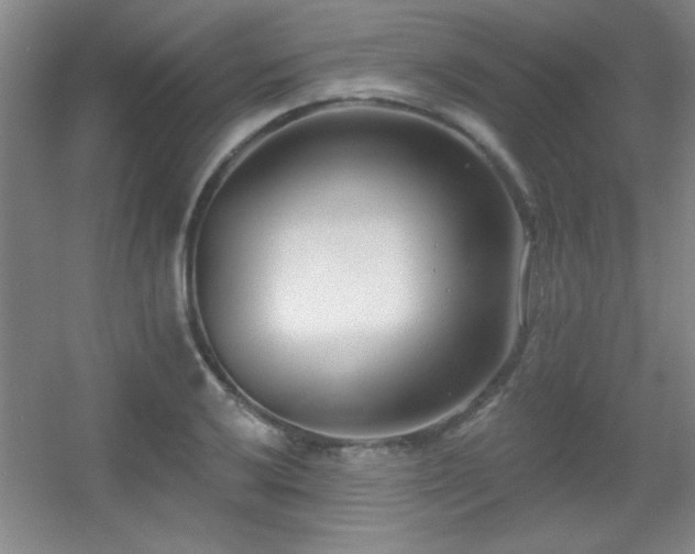 X0000056011032200508221449