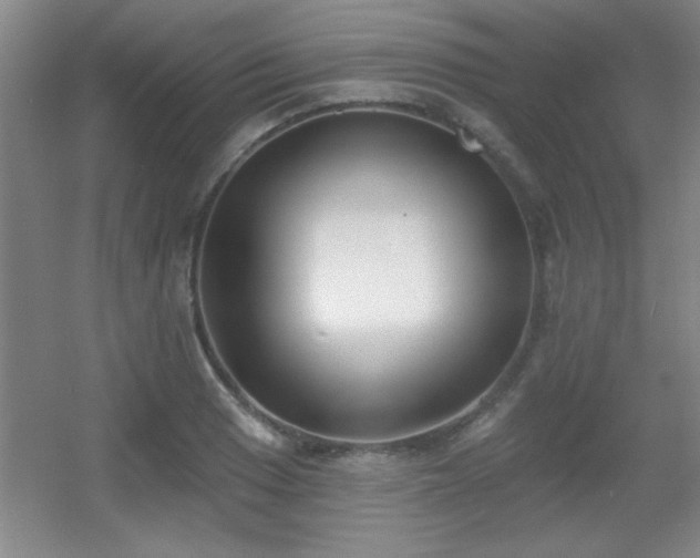 X0000056011033200508221449