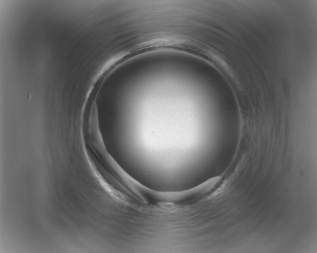 X0000056011034200508221449