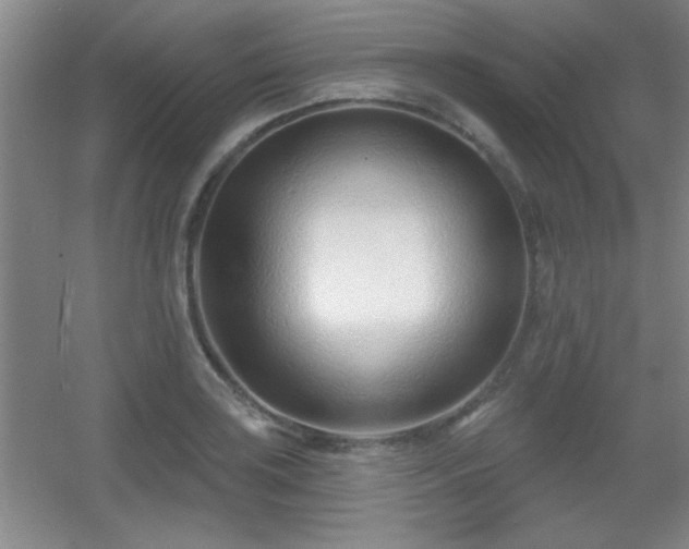 X0000056011035200508221449