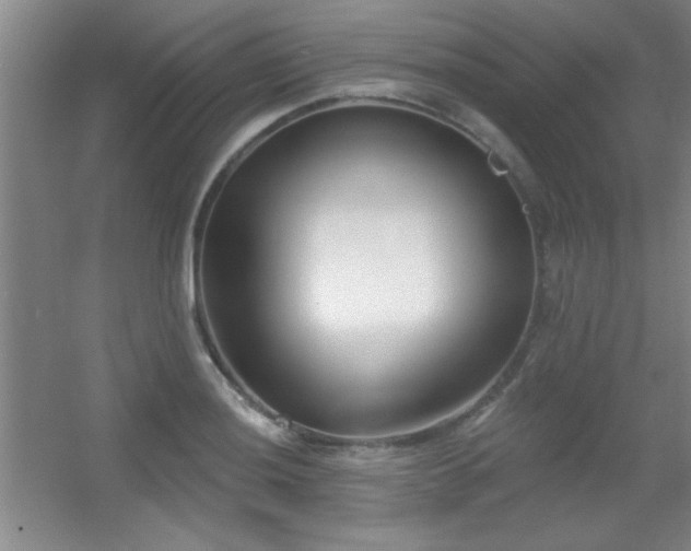 X0000056011036200508221449