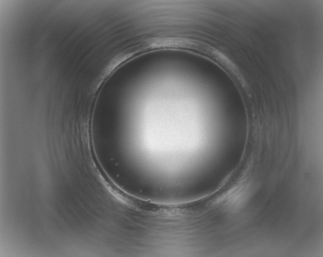 X0000056011041200508221449