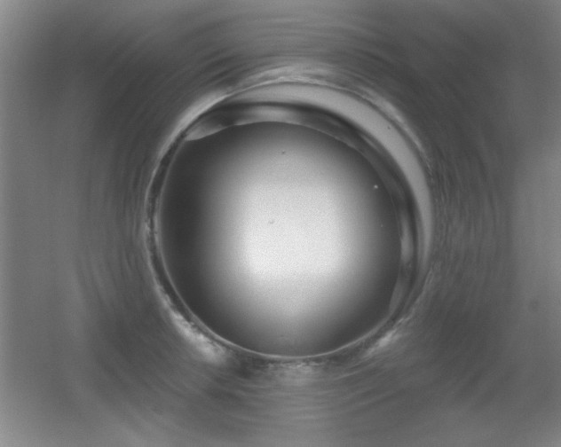 X0000056011042200508221449
