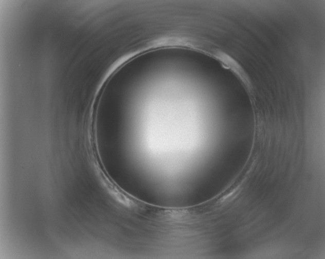 X0000056011052200508221449