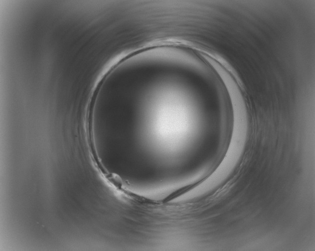 X0000056011054200508221449