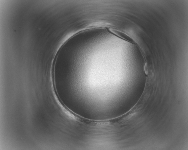 X0000056011055200508221449