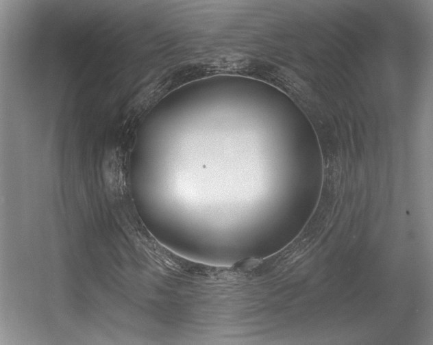 X0000056011058200508221449