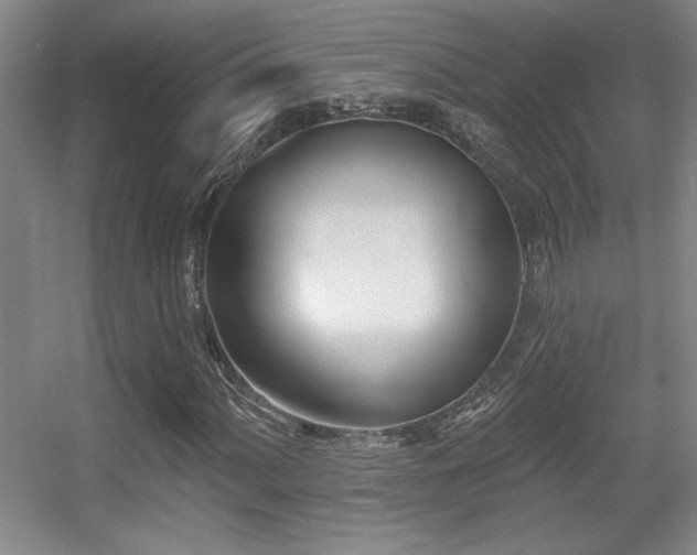X0000056011060200508221448