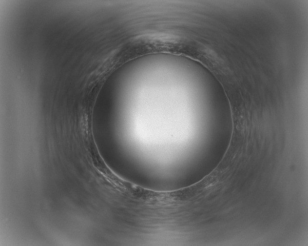 X0000056011061200508221448