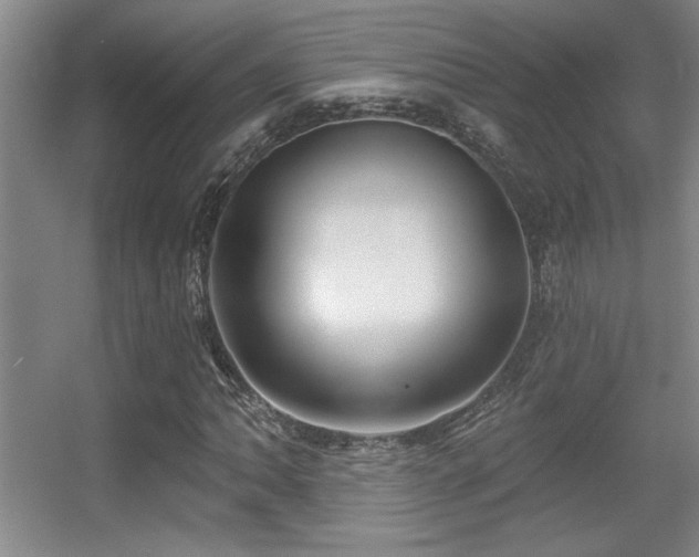 X0000056011062200508221448