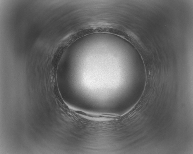 X0000056011063200508221448
