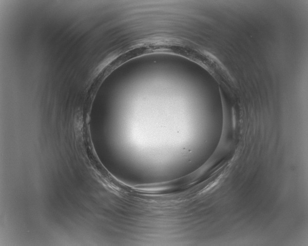 X0000056011065200508221448