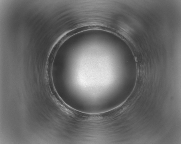 X0000056011068200508221448
