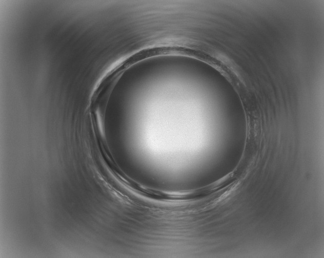 X0000056011069200508221448