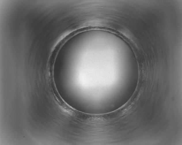 X0000056011070200508221448