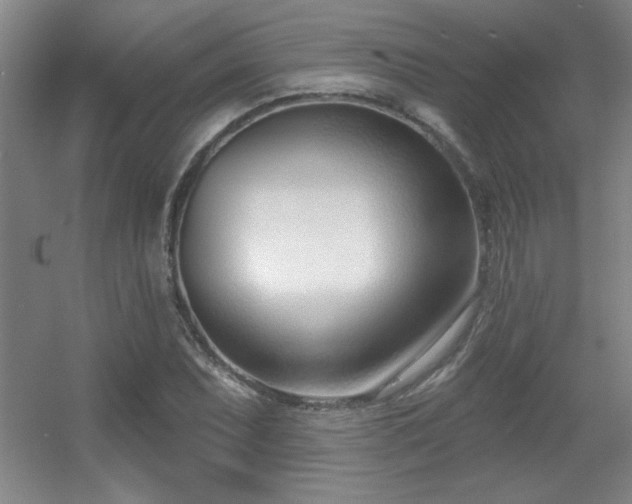 X0000056011071200508221448