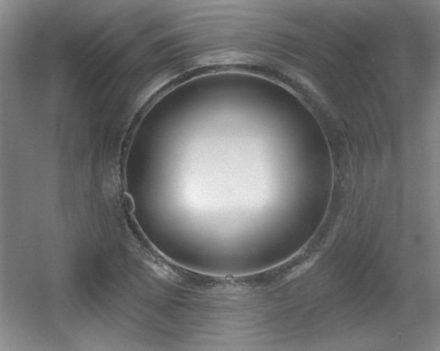 X0000056011073200508221448