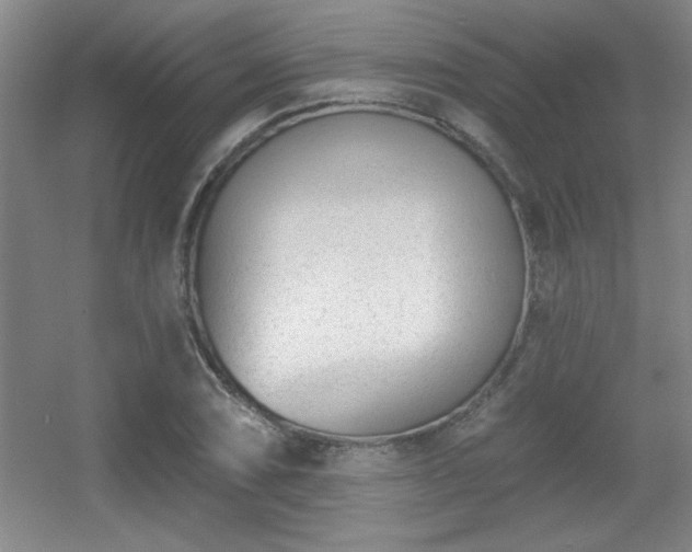 X0000056011074200508221448