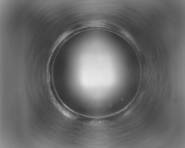 X0000056011082200508221448