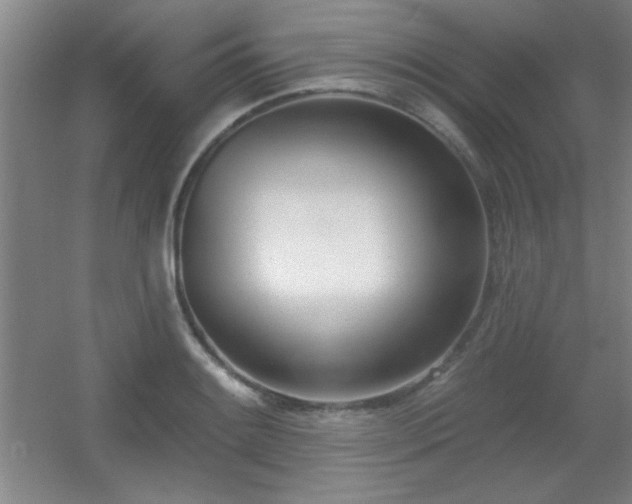 X0000056011084200508221448