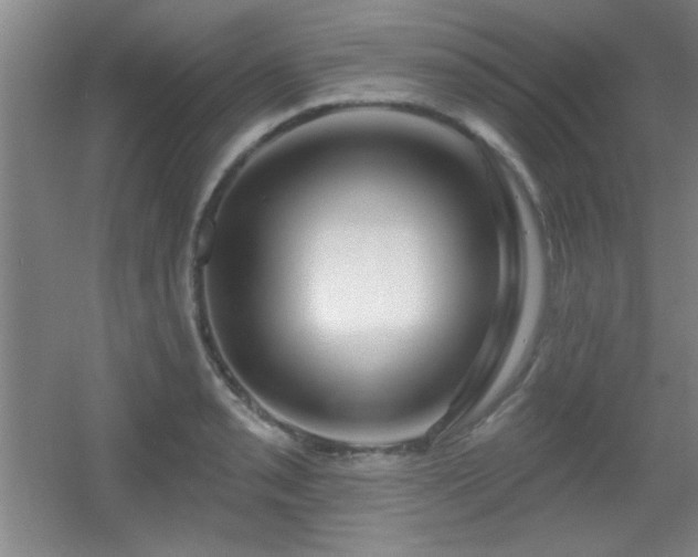 X0000056011085200508221448