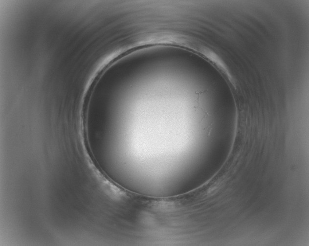 X0000056011088200508221448