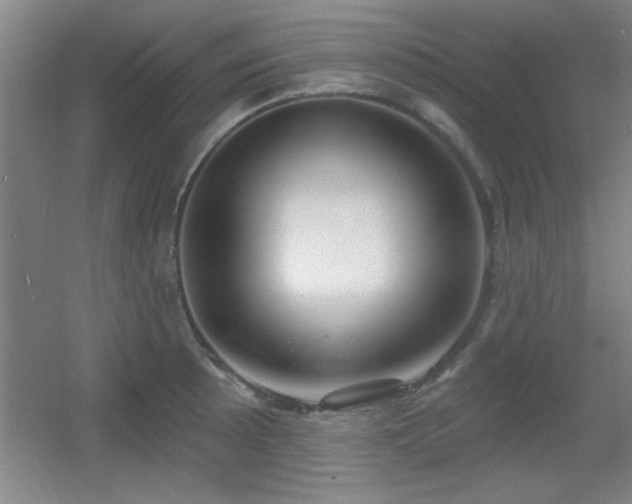 X0000056011089200508221448