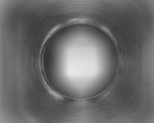 X0000056011090200508221448