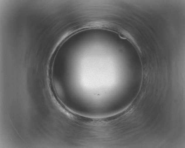 X0000056011091200508221448