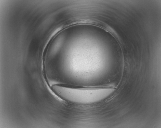 X0000056011095200508221448