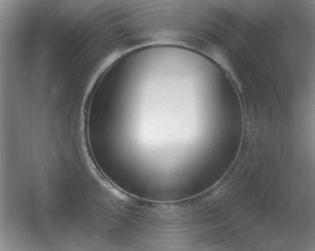 X0000056011096200508221448