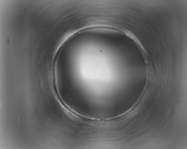 X0000056011101200508221448