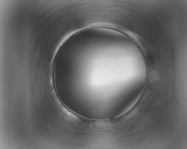 X0000056011102200508221448